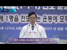 좋은 나무와 성숙함의 열매